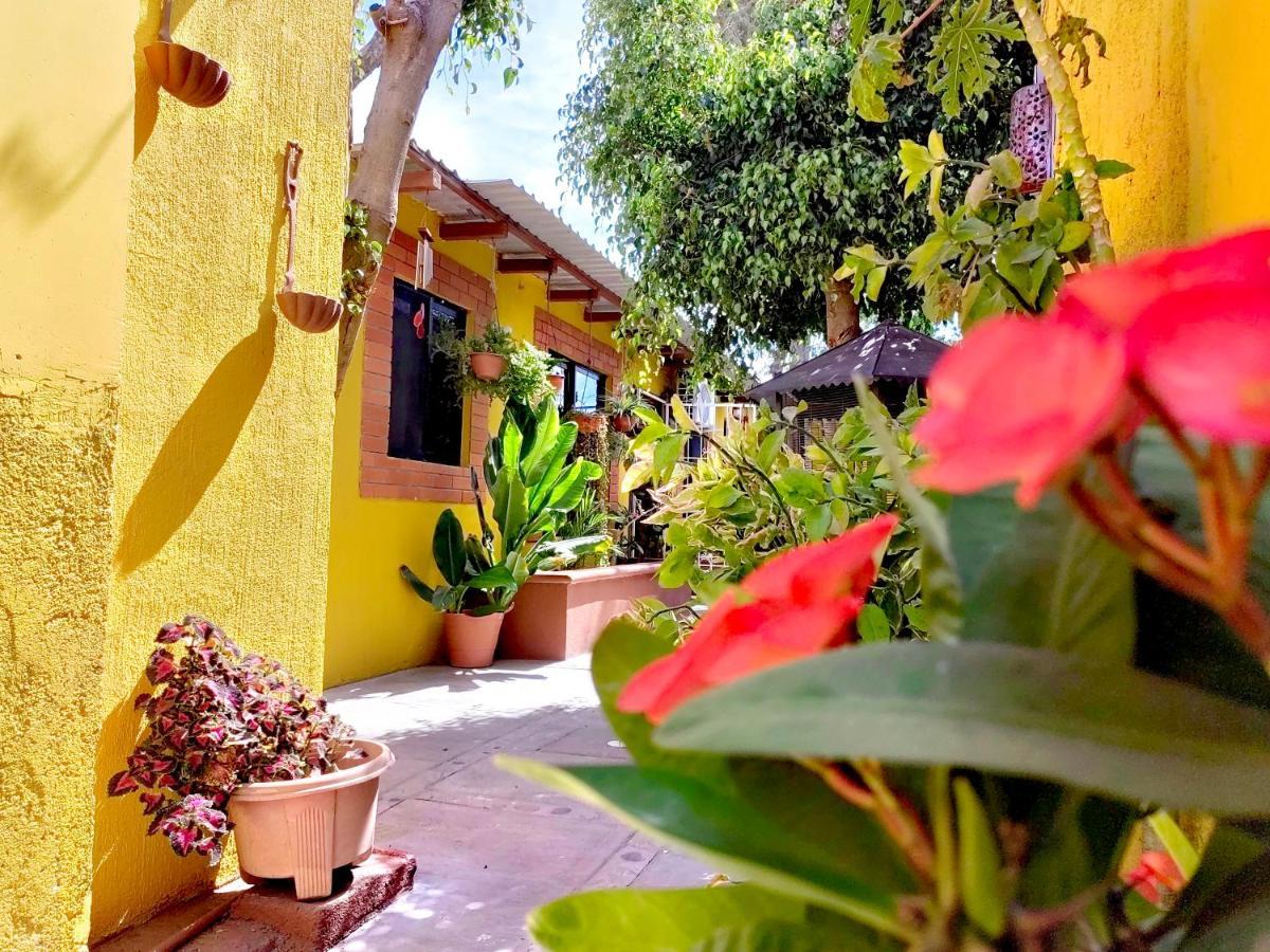 Casa Caracoles Apartment La Paz Exterior foto